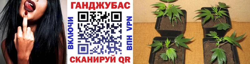 Конопля конопля  Зеленокумск 